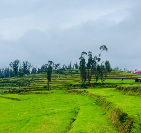 Teyt's Green Haven - 3 BHK
